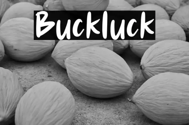 Buckluck Font examples