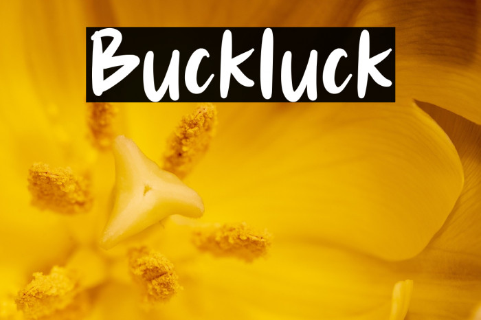 Buckluck Example 2
