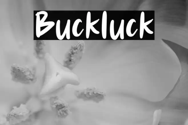 Buckluck Font examples