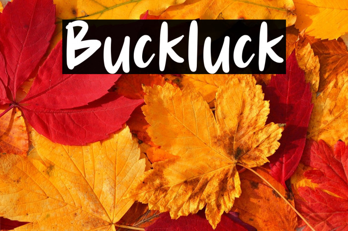 Buckluck Example 3