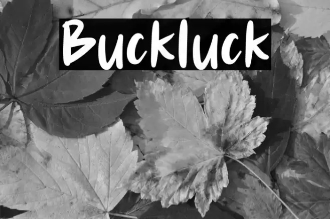 Buckluck Font examples