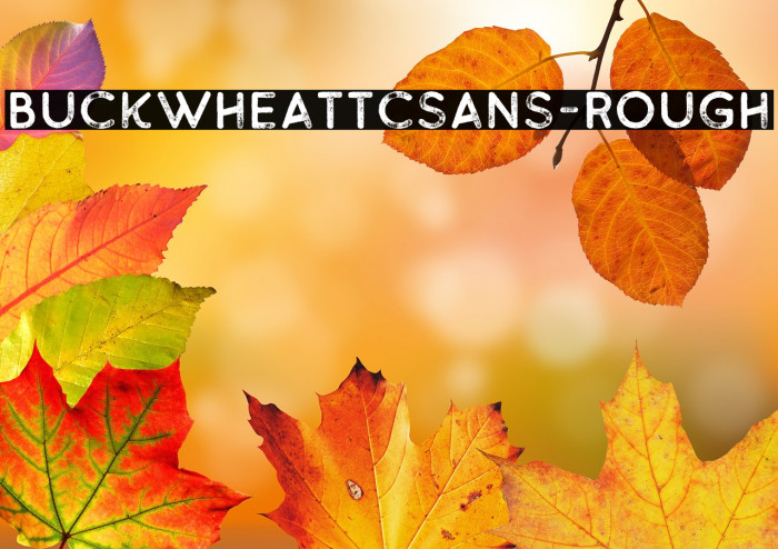 BuckwheatTCSans-Rough Example 1