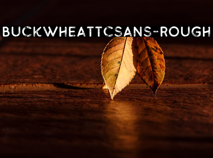 BuckwheatTCSans-Rough Example 2