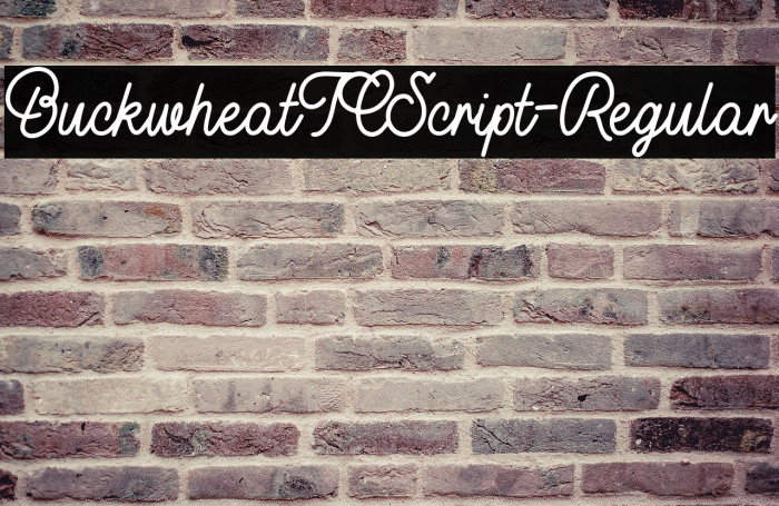 BuckwheatTCScript-Regular Example 3