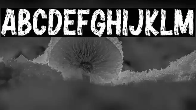 Buco Nero Font examples