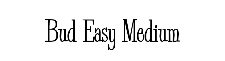 Bud Easy Medium  Frei Schriftart Herunterladen