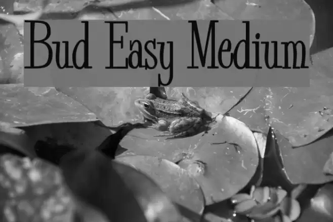 Bud Easy Medium Font examples