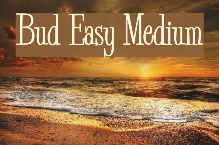 Bud Easy Medium Polices examples