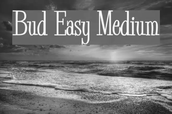 Bud Easy Medium Font examples