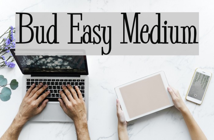 Bud Easy Medium Polices examples