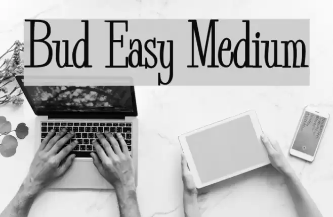 Bud Easy Medium Font examples