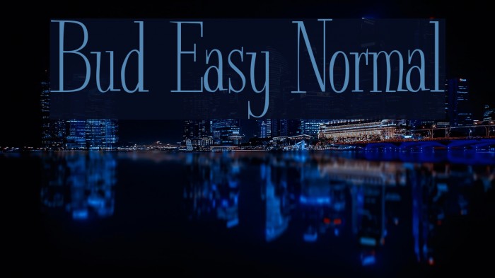 Bud Easy Normal Font examples