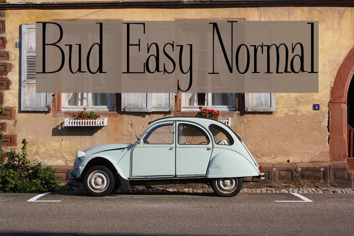 Bud Easy Normal Font examples