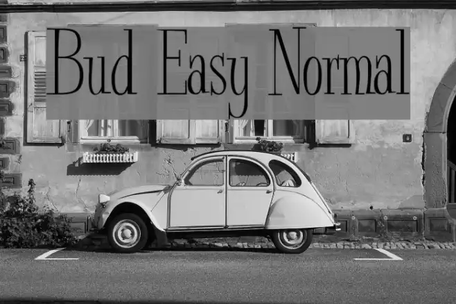 Bud Easy Normal Example 2