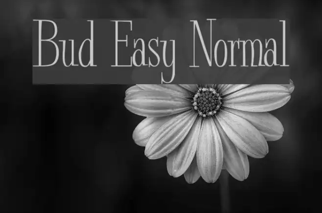 Bud Easy Normal Example 3