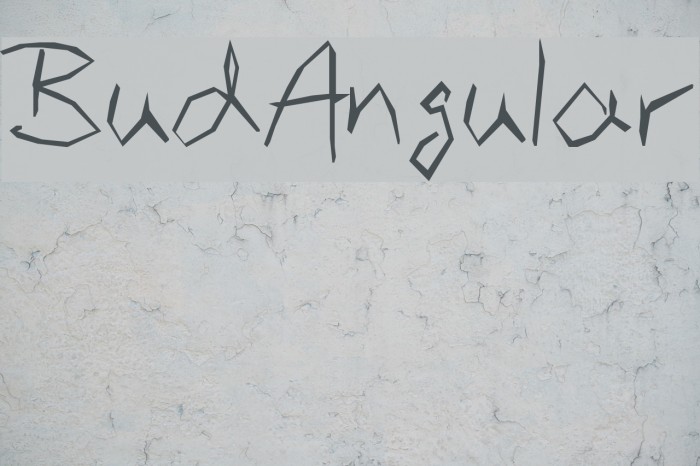 BudAngular Font examples