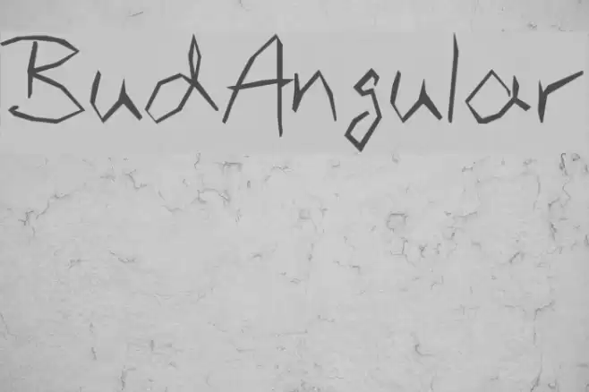 BudAngular Font examples