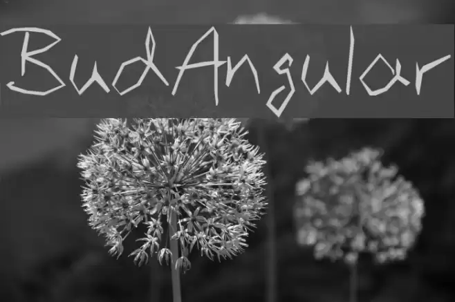 BudAngular Font examples