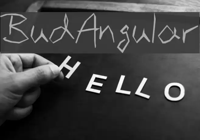 BudAngular Font examples