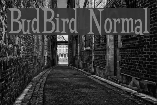 BudBird Normal Font examples