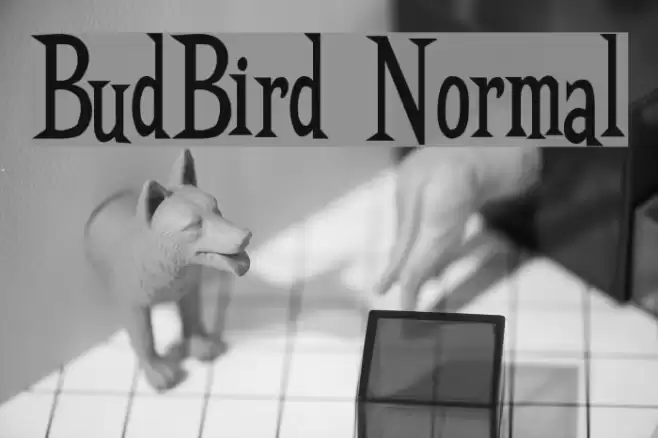 BudBird Normal Font examples