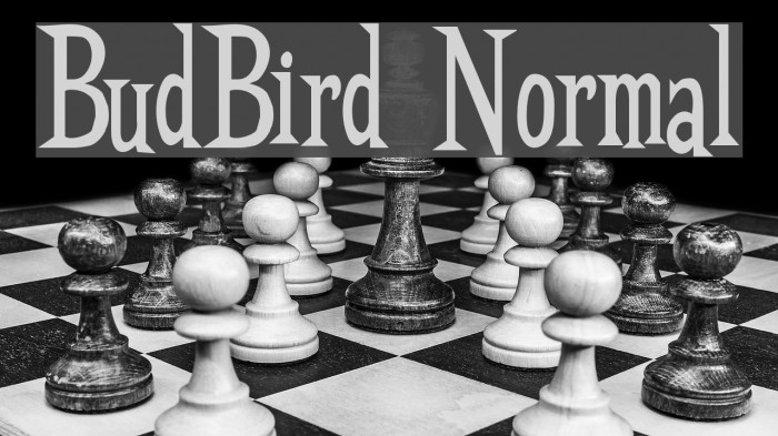 BudBird Normal Font examples