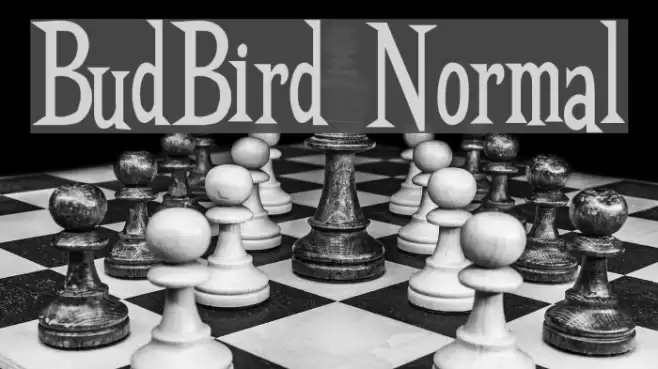 BudBird Normal Font examples