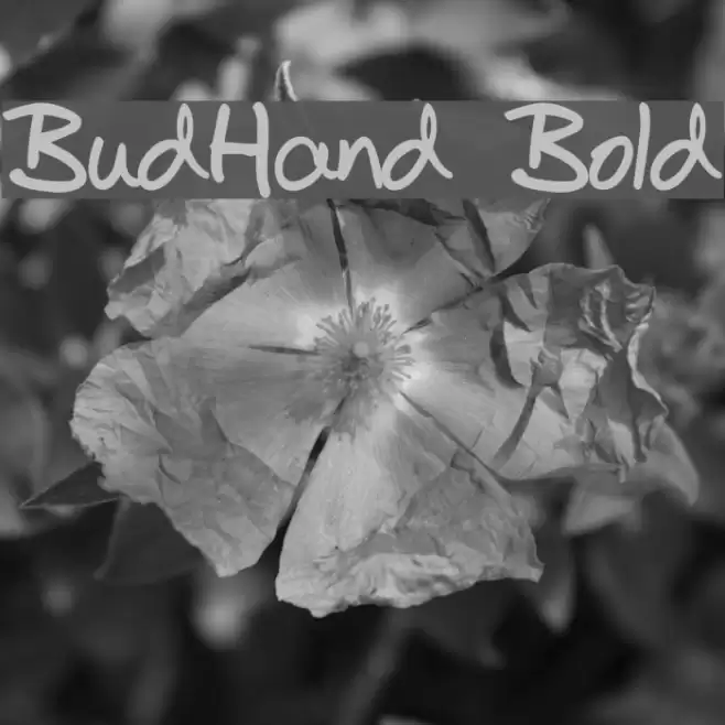 BudHand Bold Font examples