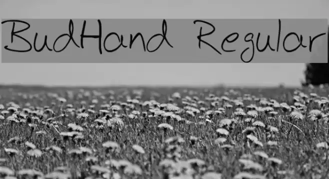 BudHand Regular Font examples