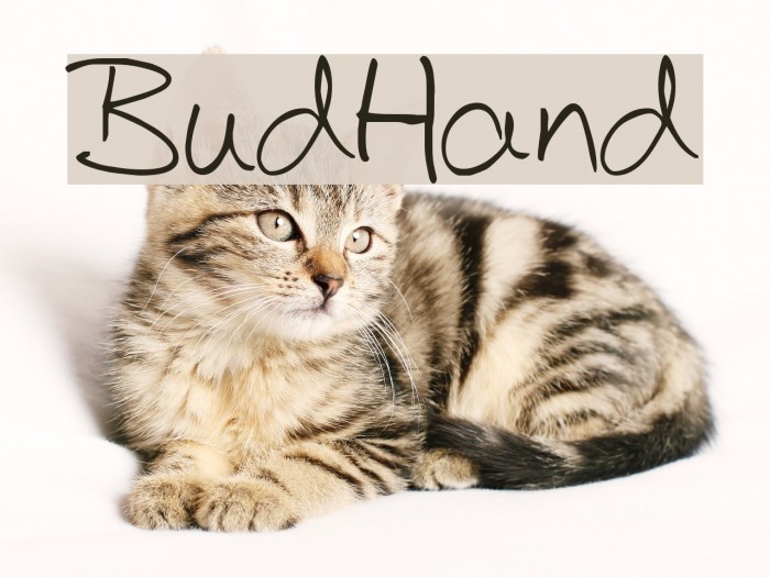 BudHand Font examples