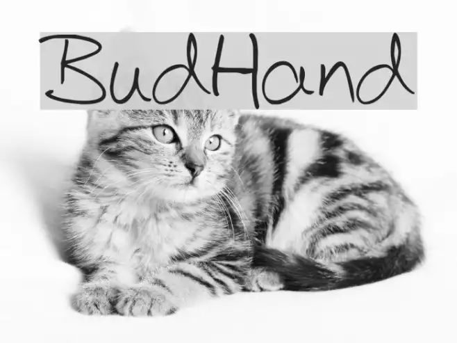 BudHand Example 1