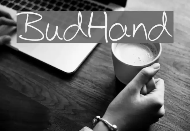 BudHand Example 2