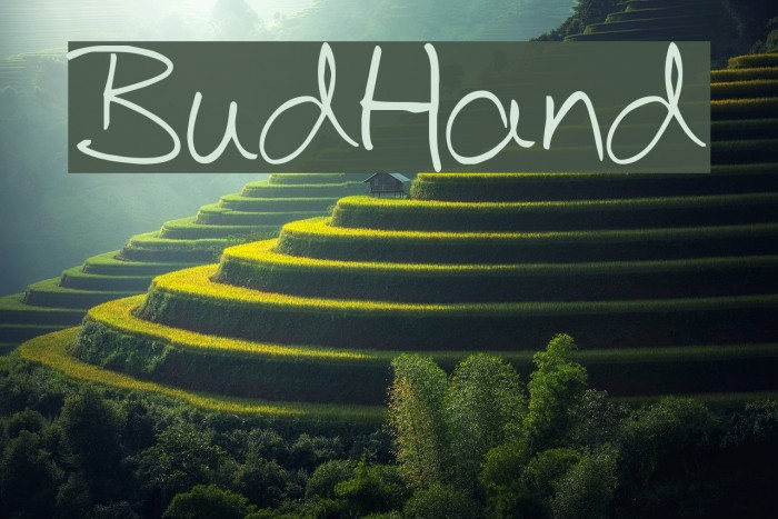 BudHand Font examples