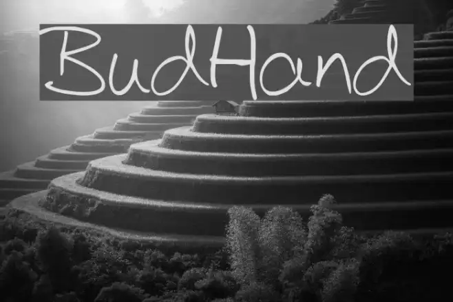 BudHand Example 3
