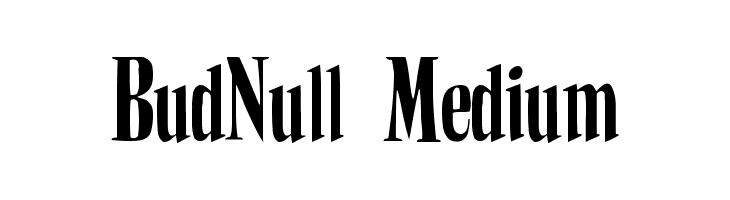 BudNull Medium  Frei Schriftart Herunterladen