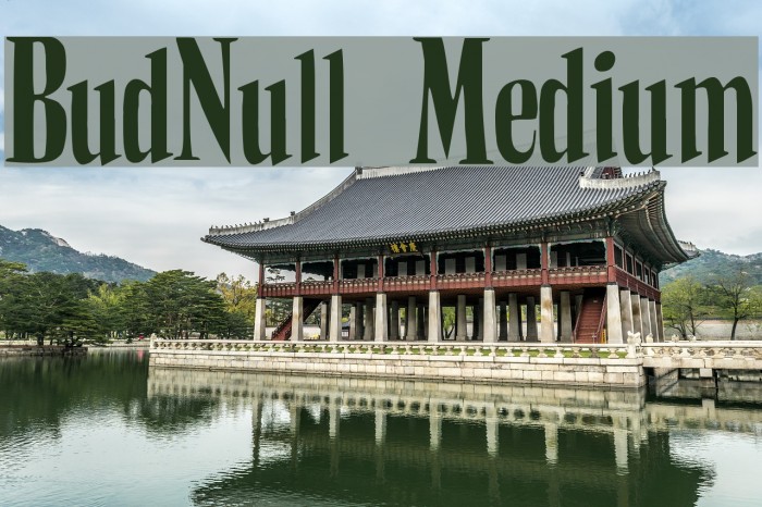 BudNull Medium Font examples