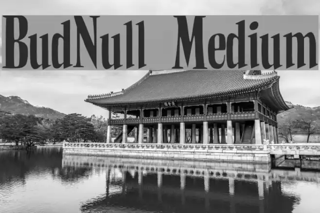 BudNull Medium Example 1
