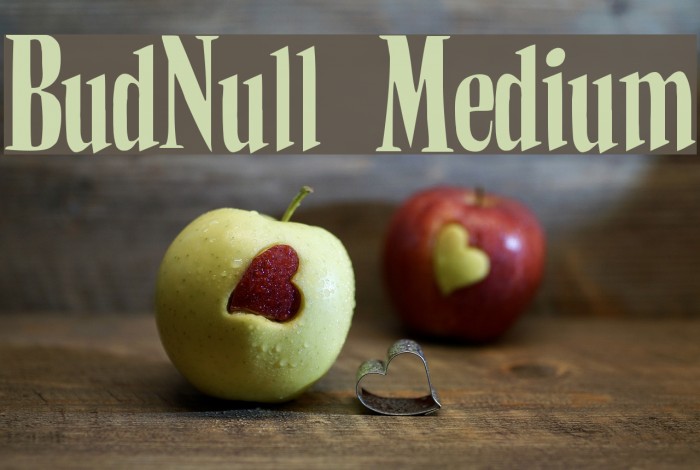 BudNull Medium Font examples