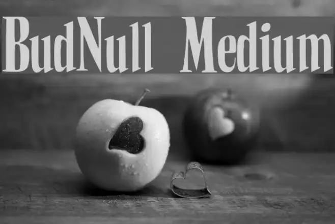 BudNull Medium Example 2