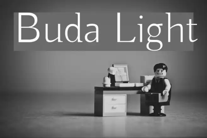 Buda Light Font examples