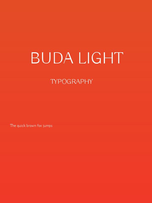 Buda Light Poster