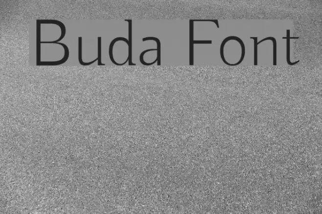 Buda Font examples