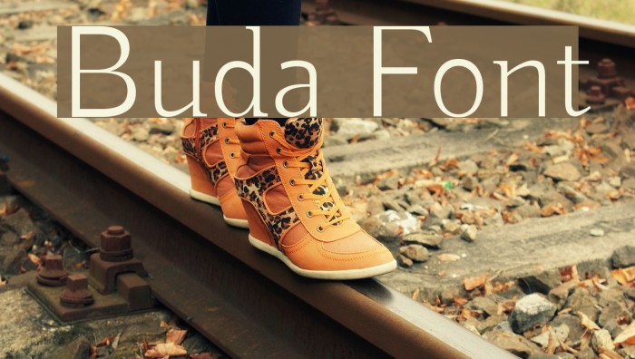 Buda Font examples