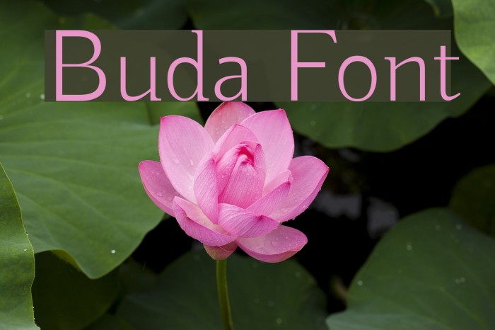 Buda Font examples