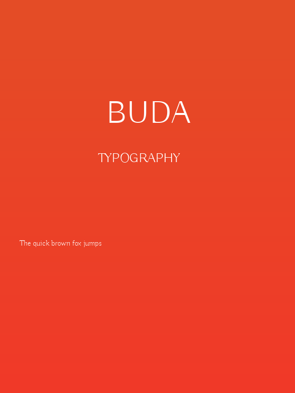 Buda Poster