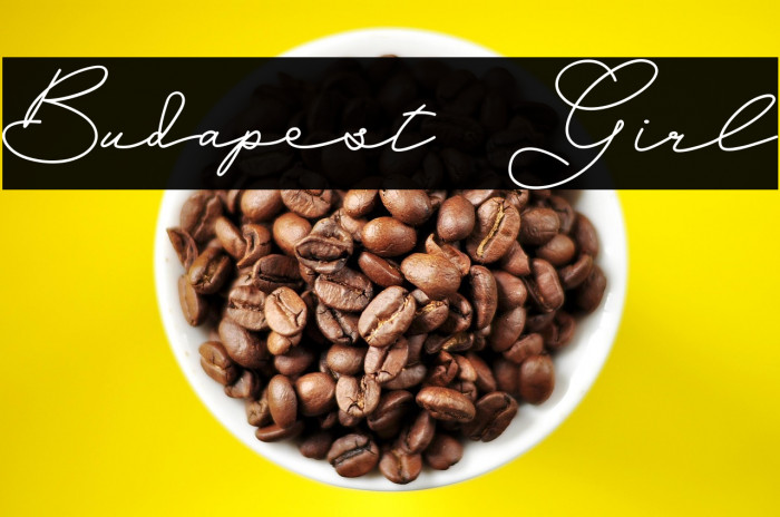 Budapest Girl Example 1