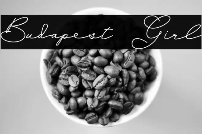 Budapest Girl Font examples