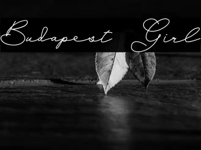 Budapest Girl Font examples
