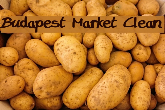 Budapest Market Clean Font examples