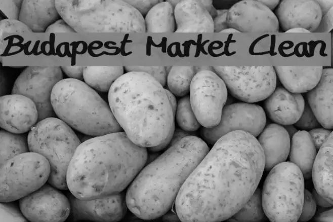 Budapest Market Clean Example 1